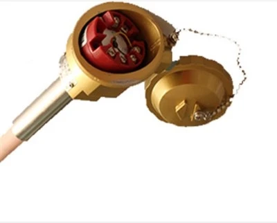Sender integrierter Platin -Rhodium -Thermoelement